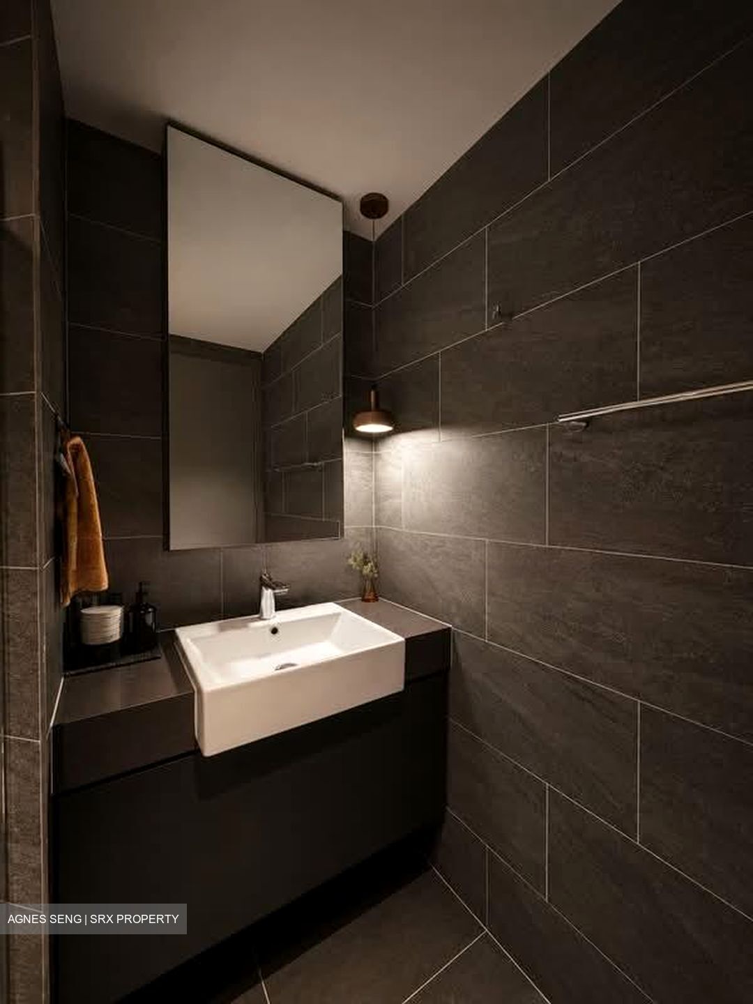 Affinity At Serangoon (D19), Apartment #587165001